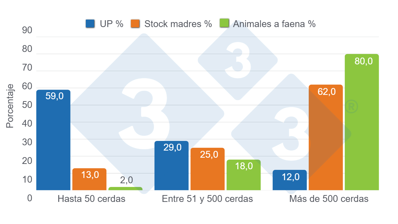 Gr&aacute;fico 4. Distribuci&oacute;n porcentual por tama&ntilde;o de granja en n&uacute;mero de unidades productivas (UP), stock de cerdas madres y participaci&oacute;n en la&nbsp;faena. Elaboraci&oacute;n propia con datos de de la Secretar&iacute;a de Agricultura, Ganader&iacute;a y Pesca (SAGYP), Anuario Porcino 2024.
