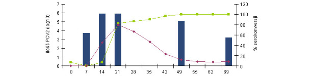 Zmiany poziomu przeciwciał IgG i IgM zmierzone testem blocking ELISA (INGENASA) i wiremii PCV2 po eksperymentalnym zakażeniu (Segal&eacute;s et al. 2005)