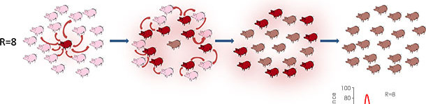 Reproduction ratio in epidemic or endemic context