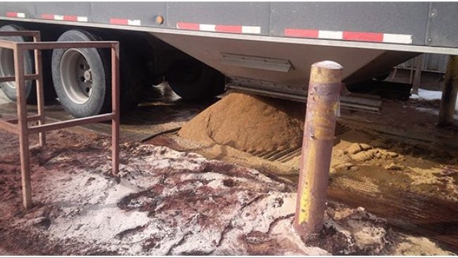 Bulk Ingredient Reception illustrating potential for fecal cross contamination