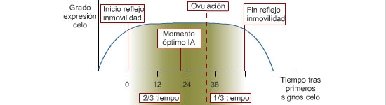 Pautas de cubrici&oacute;n