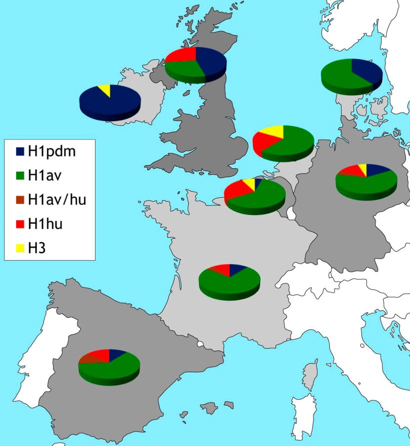 Rycina 2. Geograficzne rozprzestrzenienie podtyp&oacute;w HA IAV krążących obecnie w Europie. Informacje oparte na danych literaturowych i własnym monitoringu biernym przeprowadzonym w roku 2015.

