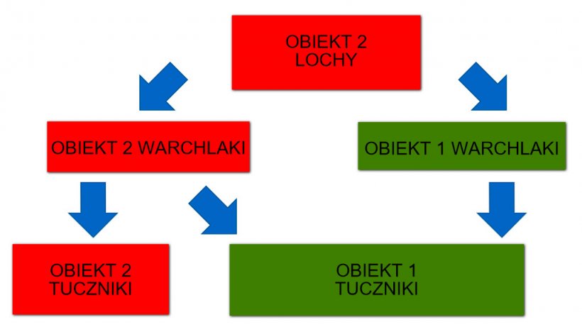 Rycina1: Schemat przepływu świń w dw&oacute;ch obiektach systemu.
