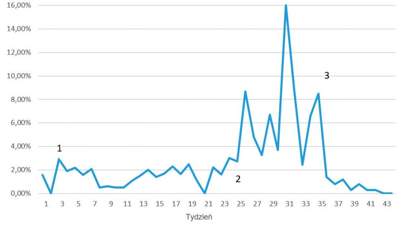 Rycina 7. Śmiertelność tygodniowo w czasie występowania choroby obrzękowej; ; 1 = pierwsze objawy zanikają po 3-4 tygodniach; 2 = ponowne pojawienie się choroby z większym nasileniem; 3 = pierwszy tydzień po szczepieniu prosiąt
