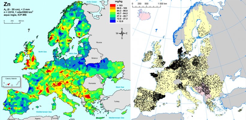 Po lewej: cynk w glebach uprawnych UE (Gemas 2014): Najwyższe poziomy cynku w glebie ( w g&oacute;rnych 20cm) na terenach uprawnych UE (źr&oacute;dło Reimann et al., 2014). Po prawej: stada loch w UE (Eurostat, 2014).
