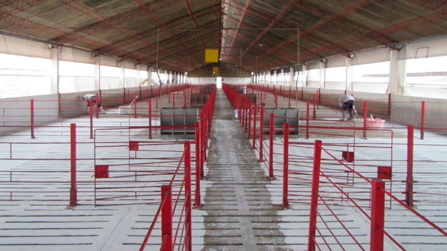 Fot. 3 Mycie i dezynfekcja pomieszczeń.
