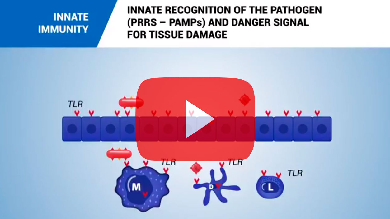 Odporność wrodzona
