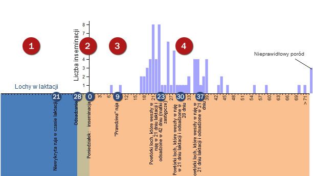 Analiza powt&oacute;rek rui