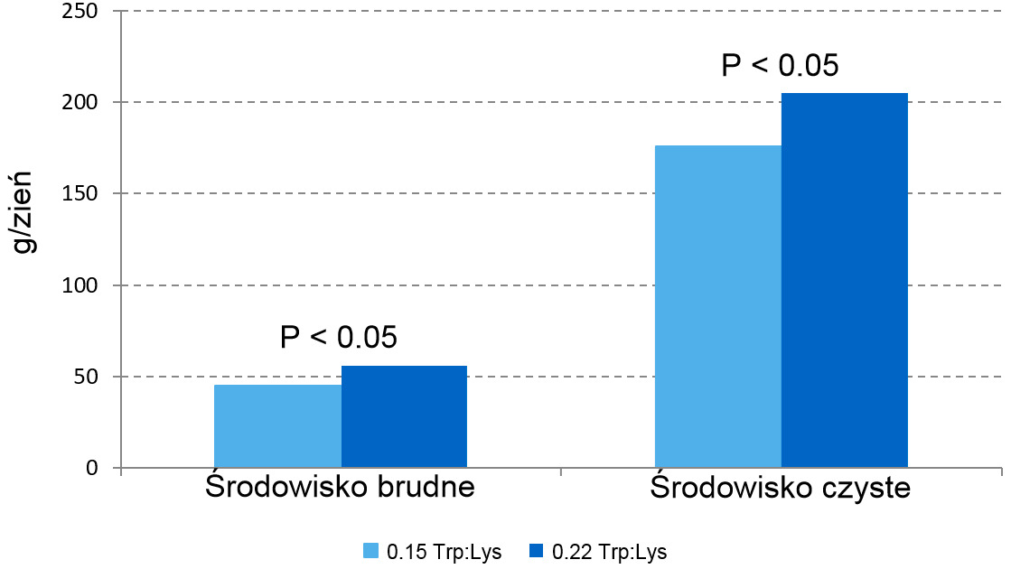 <p>Wykres 1 &ndash; Wpływ dietetycznego stosunku Trp: Lys na tempo wzrostu w fazie prestarteru w dw&oacute;ch r&oacute;żnych środowiskach</p>

