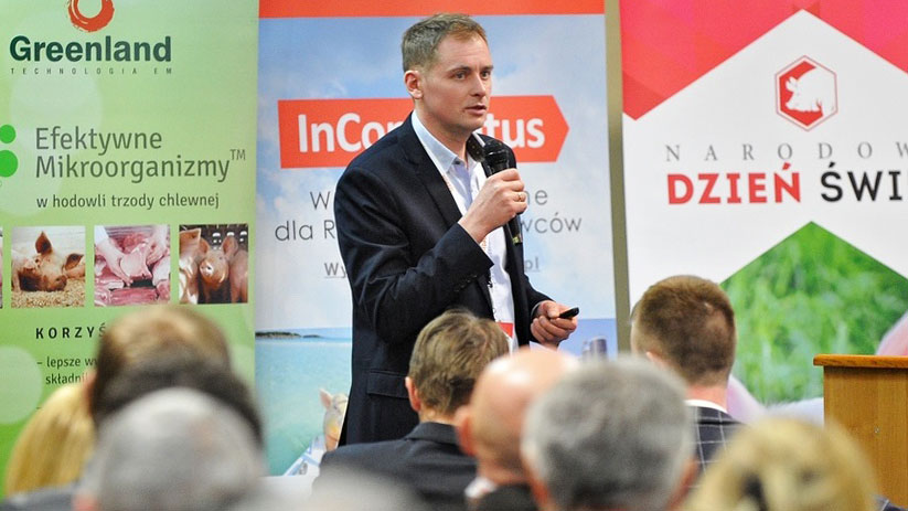 Narodowy Dzień Świni