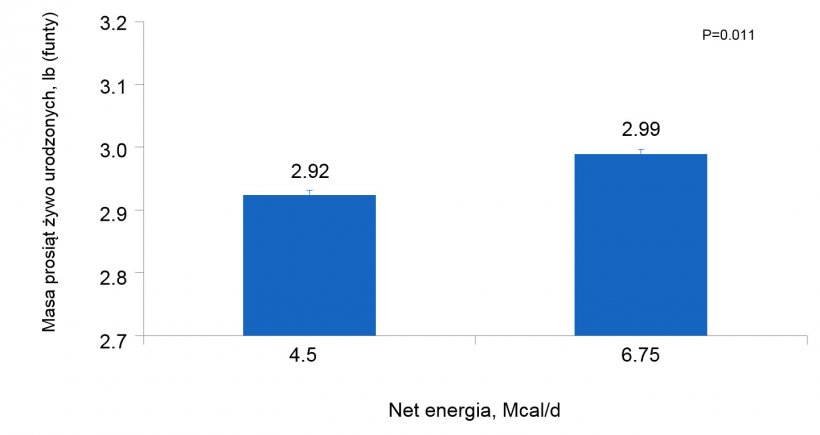 Wykres 3. Wpływ r&oacute;żnej podaży energii od 90 do 111 dnia ciąży na indywidualną masę ciała prosiąt loch i loszek
