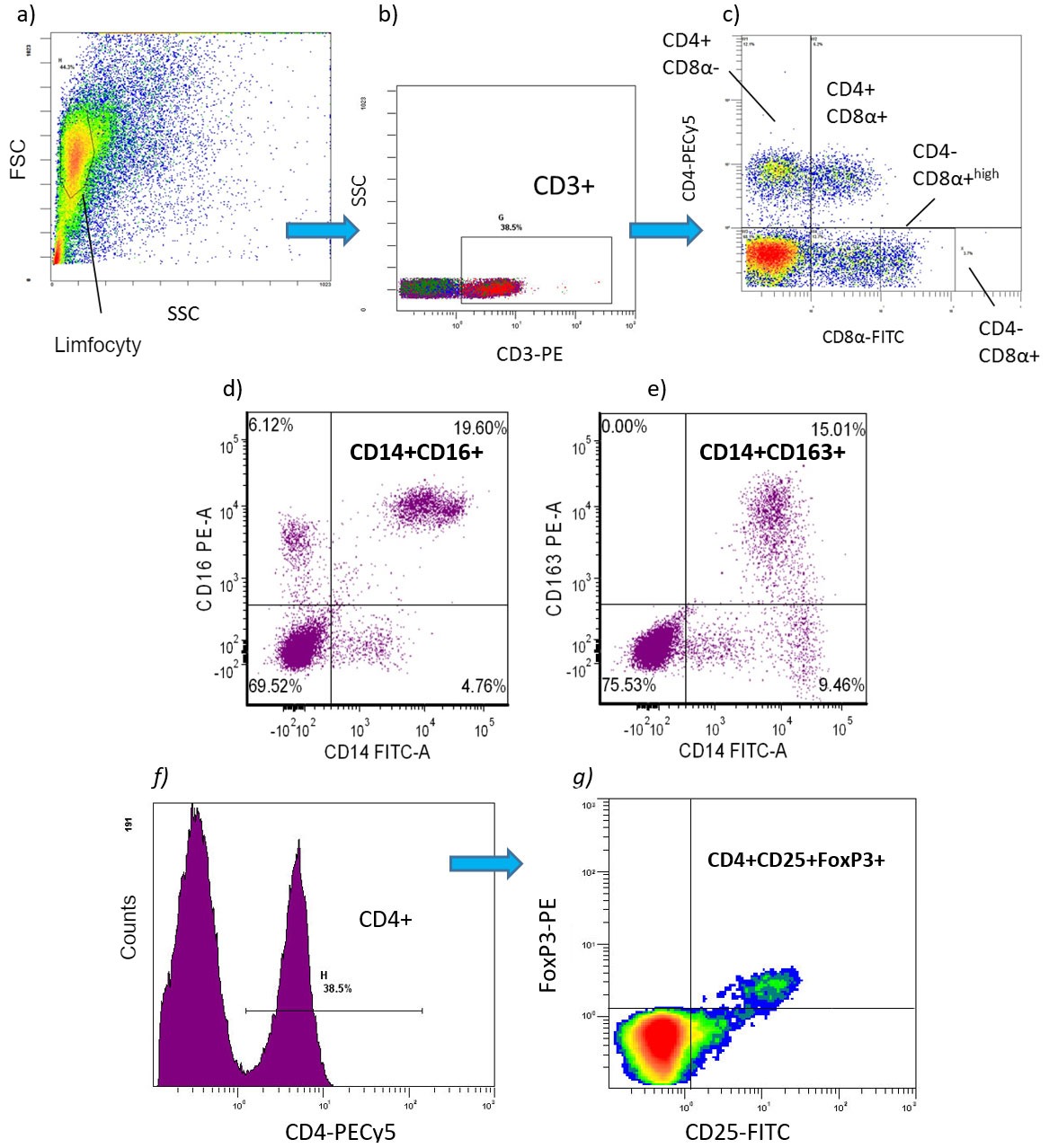 <p><em>Ryc. 2. Przykłady cytometrii przepływowej fenotyp&oacute;w kom&oacute;rek immunologicznych oznaczanych w procentach lub wartościach bezwzględnych [liczba kom&oacute;rek/ml krwi]) w PBMC: ac) subpopulacje limfocyt&oacute;w T: CD3 + CD4 + CD8- = limfocyty T pomocnicze (Th) CD3+ CD4+ CD8 + = kom&oacute;rki T pamięci CD3+ CD4-CD8+ = cytotoksyczne limfocyty T (CTL) d-e) prozapalne subpopulacje monocyt&oacute;w: CD172 + CD14 + CD16 + CD172 + CD16 + CD163 + CD172 + CD14 + CD163 + f-g) CD4 + CD25 + FoxP3 + = regulatorowe limfocyty T (Treg).</em></p>
