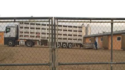 Fot 1. Musimy zapobiegać wjazdowi ciężar&oacute;wki na fermę
