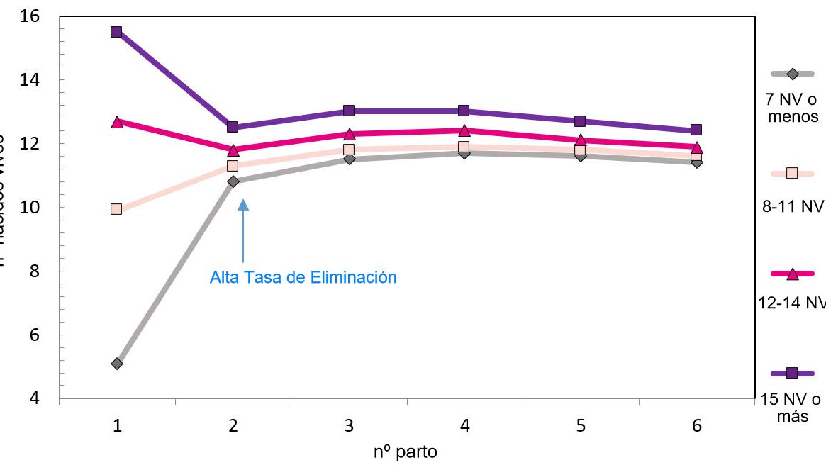 Graph 1. Production throughout the lifetime&nbsp;of the sow according to piglets born.
