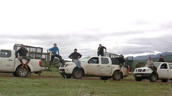 Fot. 2. Pułapki są opcją w obszarach, gdzie polowanie na dzika nie jest możliwe, ale są drogie i nie zawsze skuteczne.
