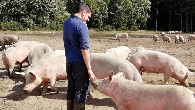 Relacja, kt&oacute;ra rozwija się między zwierzęciem a człowiekiem, jest zupełnie inna.
