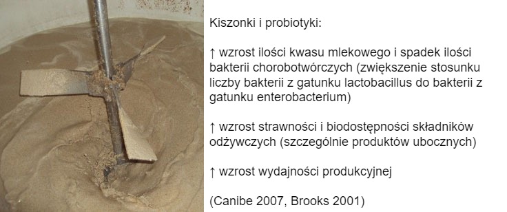 Zdjęcie 3: Interesującym sposobem na pobudzenie proces&oacute;w fermentacyjnych byłoby użycie dodatk&oacute;w żywieniowych wstępnie sfermentowanych oraz probiotyk&oacute;w. &nbsp;Stymulują one &nbsp;namnażanie się korzystnej mikroflory jelitowej (zwiększenie stosunku liczby bakterii z gatunku lactobacillus do bakterii z gatunku enterobacterium), pobudzają trawienie oraz w konsekwencji zwiększają wydajność produkcyjną &nbsp;zwierzęcia.&nbsp;
