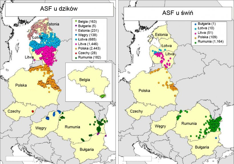 Mapa ognisk i przypadk&oacute;w ASF z Belgii, Bułgarii, Estonii, Węgier, Łotwy, Litwy, Polski, Czech i Rumunii w 2018r. (źr&oacute;dło: RASVE-ADNS)
