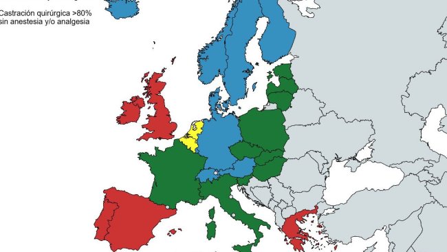 Źródło: Drugie sprawozdanie z postępów w latach 2015–2017 w sprawie europejskiej deklaracji alternatyw dla chirurgicznej kastracji świń