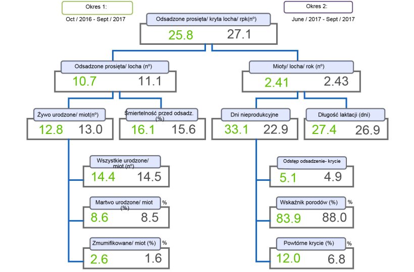 Wykres 1. Schemat produkcyjności por&oacute;wnujący dwa okresy prosięta odsadzone/ kryta locha/ rok.
