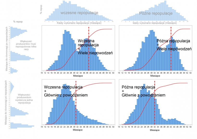 Wykres 1. Opisano cztery r&oacute;żne wzorce ponownego zasiedlania świń, w zależności od tego, kiedy podjęto decyzje o ponownym zasiedleniu (wczesna / p&oacute;źna - g&oacute;ra wykresu) i czas potrzebny do przywr&oacute;cenia pełnej produkcji (jedna / okazjonalnie więcej repopulacji lub więcej pr&oacute;b - lewa część wykresu). Skumulowane rozkłady czasu regeneracji produkcji są pokazane na czerwono, a czerwone kropkowane linie pokazują liczbę miesięcy potrzebnych do osiągnięcia 80% zasiedlenia.
