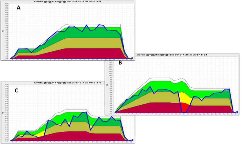 Rysunek 2. Graficzne zobrazowanie spożycia paszy przez lochy w laktacji, zarejestrowane przez elektroniczne podajniki paszy. A) prawidłowy schemat spożycia paszy; B) znaczny spadek; C) niewielki spadek spożycia paszy przez cały okres laktacji. Zielone obszary przedstawiają prawidłowe spożycie paszy dla konkretnej lochy, ż&oacute;łte obszary ostrzegają, że spożycie paszy spada, a czerwone przedstawiają znaczne odchylenia od normalnego spożycia paszy oraz sygnalizują, że istnieje wysokie ryzyko osiągnięcia niskich wynik&oacute;w produkcyjnych w przyszłości. Źr&oacute;dło: GESTAL SOLO, JYGA Technologies.
