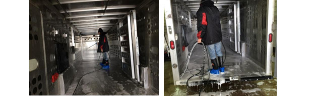 Ryc. 4. Nanoszenie detergentu według składnik&oacute;w chemicznych i formuły produktu. Dzięki uprzejmości Dr Clayton Johnson, Carthage Veterinary Services.
