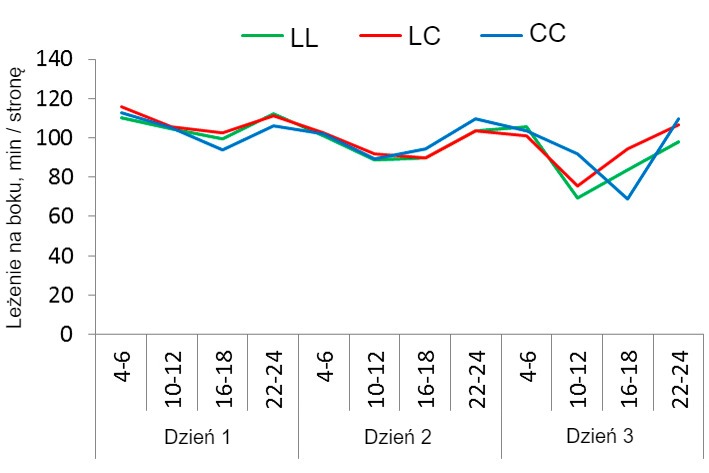 Rysunek 1. Schemat leżenia loch w systemie SWAP z 3 r&oacute;żnymi strategiami stosowania: brak porodu, por&oacute;d i 4 dni po oproszeniu (następnie luźne) lub dzień przed oproszeniem i przez 4 dni po (następnie luźne).&nbsp;
