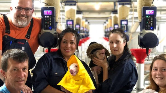 Zdjęcie 2. Zespół pracujący razem