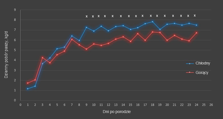 Ryc. 1. Dzienne spożycie paszy w okresie chłodnym i gorącym. Pob&oacute;r paszy r&oacute;żnił się w poszczeg&oacute;lnych sezonach od 9 do 18 i od 20 do 24 dnia (x; P &lt;0,05). W porze chłodnej i gorącej badanych było w sumie odpowiednio 17 i 31 macior.
