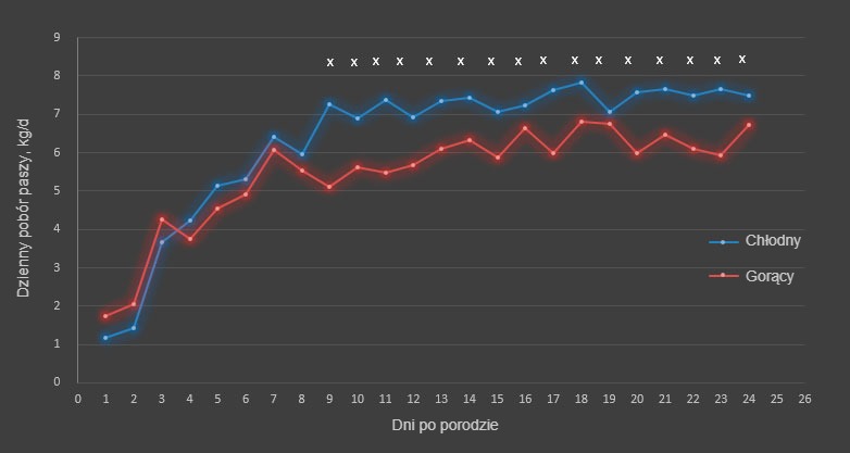 Ryc. 1. Dzienne spożycie paszy w okresie chłodnym i gorącym. Pobór paszy różnił się w poszczególnych sezonach od 9 do 18 i od 20 do 24 dnia (x; P <0,05). W porze chłodnej i gorącej badanych było w sumie odpowiednio 17 i 31 macior.