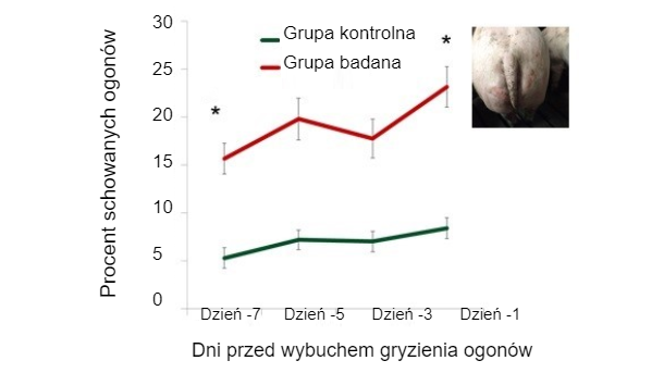 Rysunek 1. Odsetek ogon&oacute;w schowanych według dni przed wybuchem.
