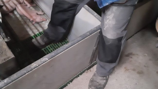 Fot. 1: Zminimalizuj wchodzenie do kojców porodowych. Dzięki uprzejmości: Ramaderies Duch. 