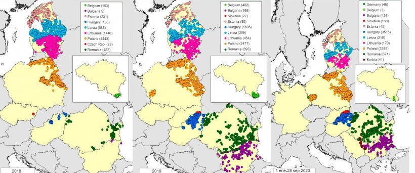 Mapa przypadk&oacute;w ASF u dzik&oacute;w zgłoszonych w 2018, 2019 i 2020 (stan na wrzesień 2020) (Źr&oacute;dło: MAPA na podstawie danych RASVE-ADNS)
