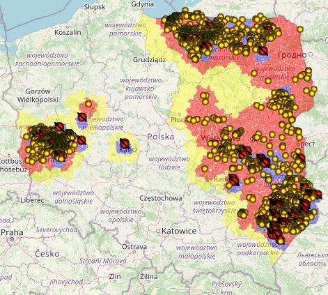 ASF u świń i dzik&oacute;w w 2020r. Kolorem ż&oacute;łtym oznaczone są przypadki u dzik&oacute;w, czerwonym ogniska u świń.
