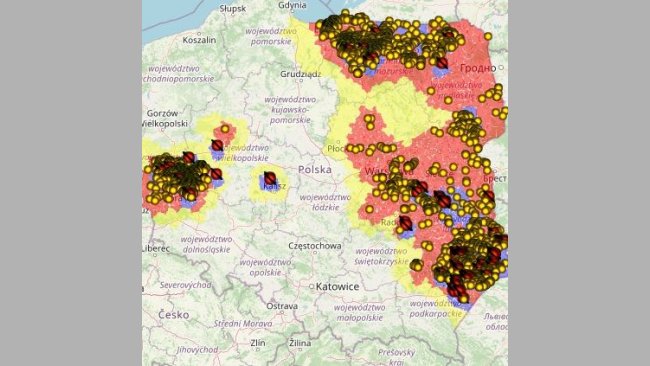 ASF u świń i dzików w 2020r. Kolorem żółtym oznaczone są przypadki u dzików, czerwonym ogniska u świń.