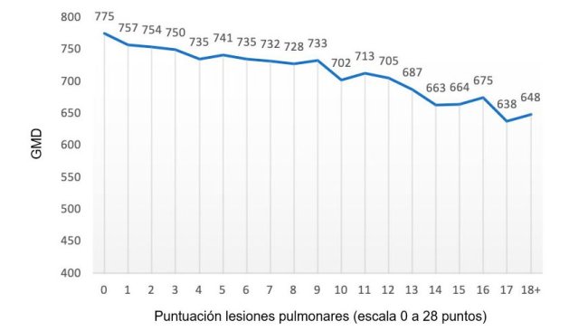 Wykres 2: Wartość ADG (gramy) w stosunku do oceny płuc (skala od 0 do 28 punktów). Na podstawie: Pagot et al. (2007).