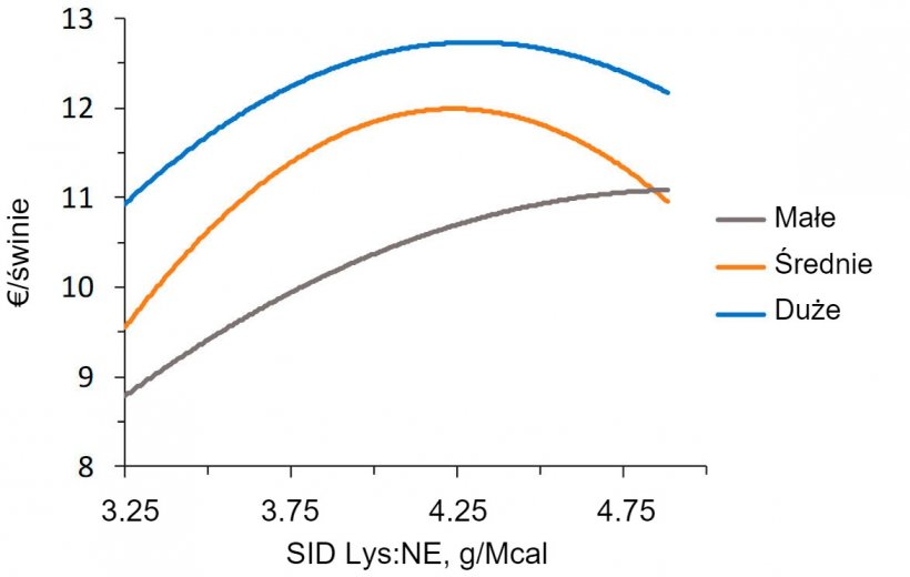 Rysunek 2. Modelowanie ekonomiczne (IOFFC) wpływu lizyny do energii u tucznik&oacute;w (28-63 kg LW) sklasyfikowanych według ich wagi&nbsp;wyjściowej (za Aymerich et al., 2020)
