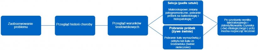 Ryc 1. To drzewo decyzyjne przedstawia kroki, kt&oacute;re należy wykonać, aby postawić dokładną diagnozę i właściwe leczenie. * Rodzaj zmiany może dostarczyć nam informacji o tym, czym jest czynnik zakaźny.
