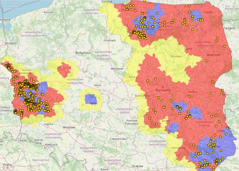 Mapa ASF u dzików