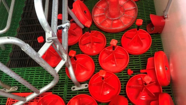 Fot. 1. Czyszcząc porodówkę, nie zapomnij o wyposażeniu takim jak karmniki dla prosiąt, oświetlenie i inne materiały, które są przenoszone między pomieszczeniami.