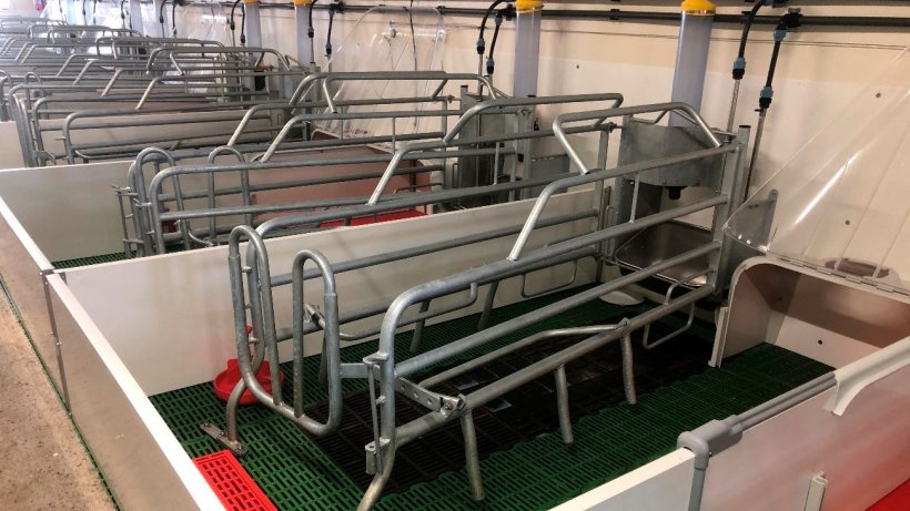 Fot. 2. Prawidłowo oczyszczona strefa porodowa, zdezynfekowana i sucha, gotowa do przyjęcia loch przed porodem.
