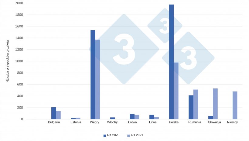 Przypadki ASF u dzik&oacute;w (Q1 2021 vs. Q1 2020)
