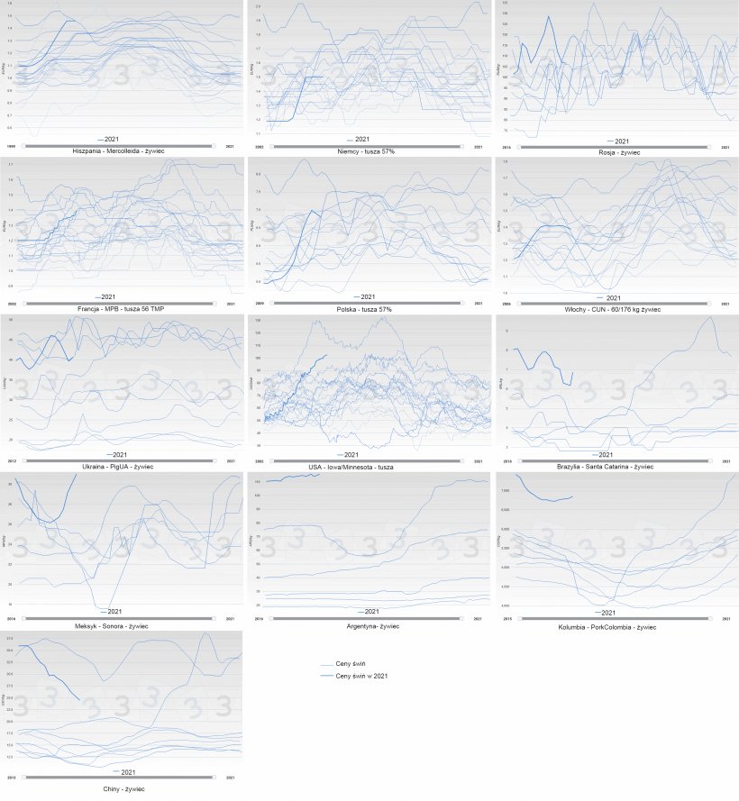 Ryc. 2. Zmiany cen&nbsp;świń (kolor niebieski) według roku w r&oacute;żnych krajach. Gruba linia przedstawia cenę w 2021 roku.
