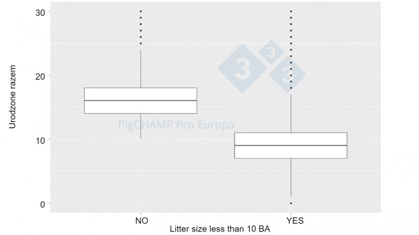 Ryc.&nbsp;4. Wykres pudełkowy przedstawiający liczbę wszystkich urodzonych prosiąt według wielkości miotu BA, 2018-2019.
