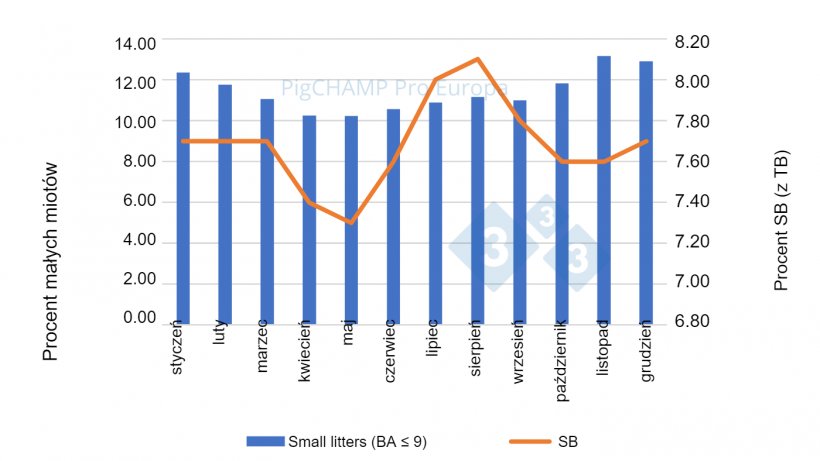 Ryc. 3.Rozkład procentowy prosiąt SB i małych miot&oacute;w (BA &le; 9 prosiąt), 2018-2019.
