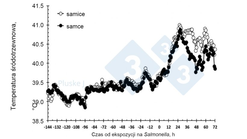 Ryc. 2. Wpływ płci na reakcję temperatury śr&oacute;dotrzewnowej na doustną prowokację Salmonella typhimurium.&nbsp;U samic odnotowano&nbsp;(P < 0,001)&nbsp; większą reakcję temperaturową niż u samc&oacute;w wieku od 36 do 63 dni&nbsp;i 72 godziny po prowokacji(after Burdick Sanchez et al., 2017).
