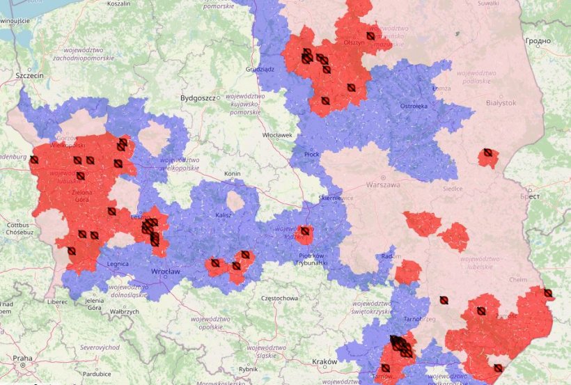 Mapa ognisk ASF u świń w 2021r. Stan na 3.09.2021.