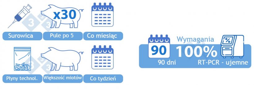 Kategoria IIvx Dodatnia Stabilna ze szczepieniem. WARIANT&nbsp;2) Połączenie surowicy i płyn&oacute;w technologicznych. Surowica od 30 prosiąt, kt&oacute;re mają być odsadzone, badana co miesiąc w grupach po pięć sztuk. &nbsp;Jedna zbiorcza pr&oacute;bka płyn&oacute;w technologicznych badana co tydzień metodą RT-PCR. W pr&oacute;bce powinna być reprezentowana większość miot&oacute;w, na kt&oacute;rych wykonywane są zabiegi&nbsp;w ciągu tygodnia. W celu uzyskania kategorii wszystkie pr&oacute;bki muszą być negatywne w okresie 90 dni. Jeżeli pr&oacute;bka dodatnia zostanie wykryta za pomocą RT-PCR ponad dwa tygodnie po zaszczepieniu stada, obecność wirusa typu dzikiego powinna&nbsp;zostać zweryfikowana za pomocą dostępnych metod diagnostycznych, takich jak sekwencjonowanie.
