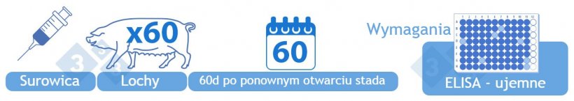 Kategoria IV Ujemna.&nbsp;Badanie surowicy od 60 dorosłych zwierząt hodowlanych metodą ELISA 60 dni po zakończeniu zamykania stada. Do uzyskania tej kategorii wymagany jest brak&nbsp;wynik&oacute;w dodatnich. Alternatywnie, kategoria IV rozpoczyna się rok po zakończeniu kategorii III, jeżeli nie zgłoszono żadnych pr&oacute;bek ELISA z wynikiem dodatnim. Stada ponownie zasiedlone zwierzętami naiwnymi zalicza się do tej kategorii po uzyskaniu negatywnych wynik&oacute;w test&oacute;w.
